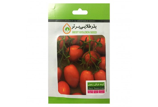بذر گوجه فرنگی زیتونی